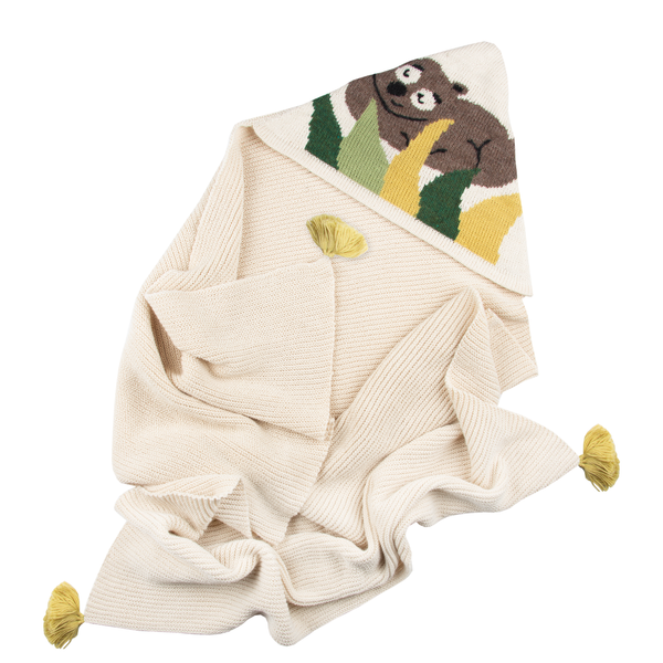 NW323 Sweet Dreams Baby Blanket