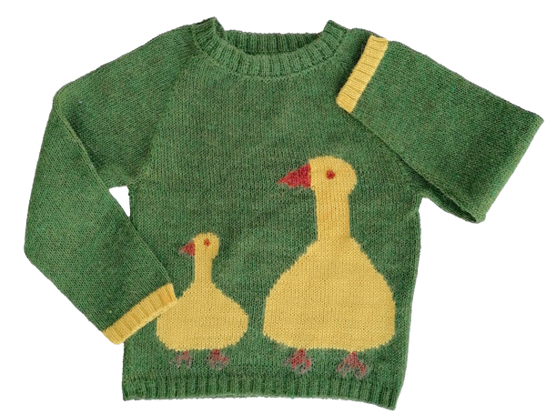 NW355 Duck in the Meadows Sweater