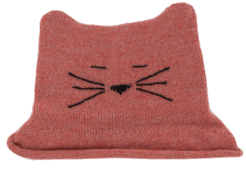 Z NW402 Pink Cat Hat