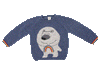 NW421 Bear Blue Sweater